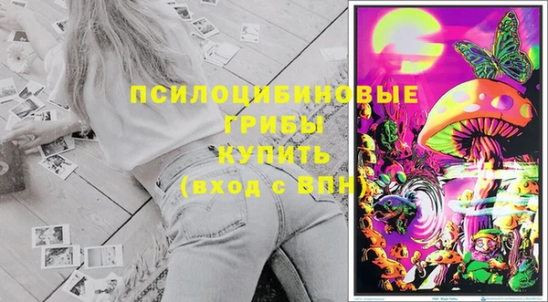 молекула духа Богородицк