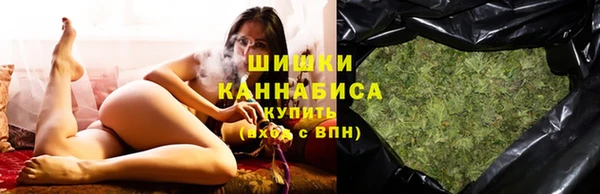 молекула духа Богородицк