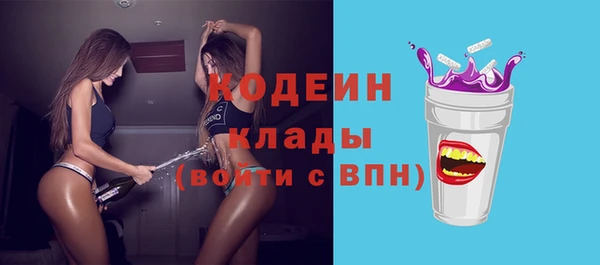 молекула духа Богородицк
