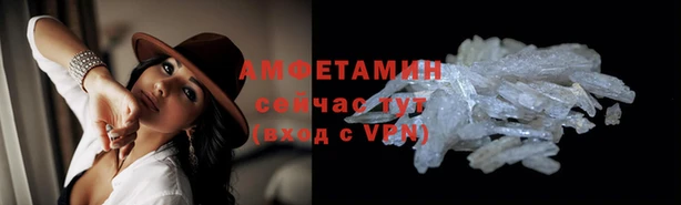 молекула духа Богородицк