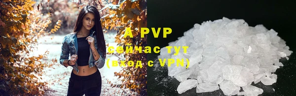 молекула духа Богородицк