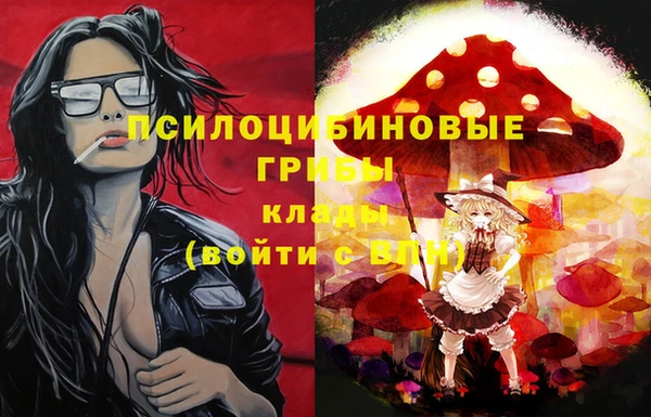 молекула духа Богородицк