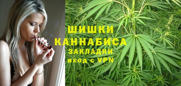 молекула духа Богородицк