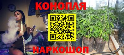 круглые Кингисепп