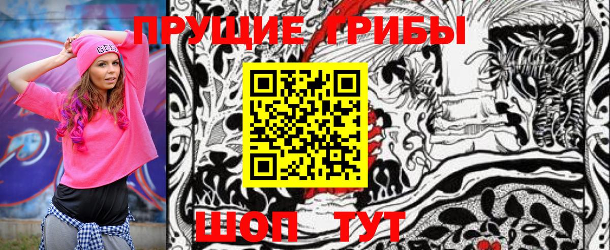 Псилоцибиновые грибы мицелий  Вход с VPN  Лыткарино 