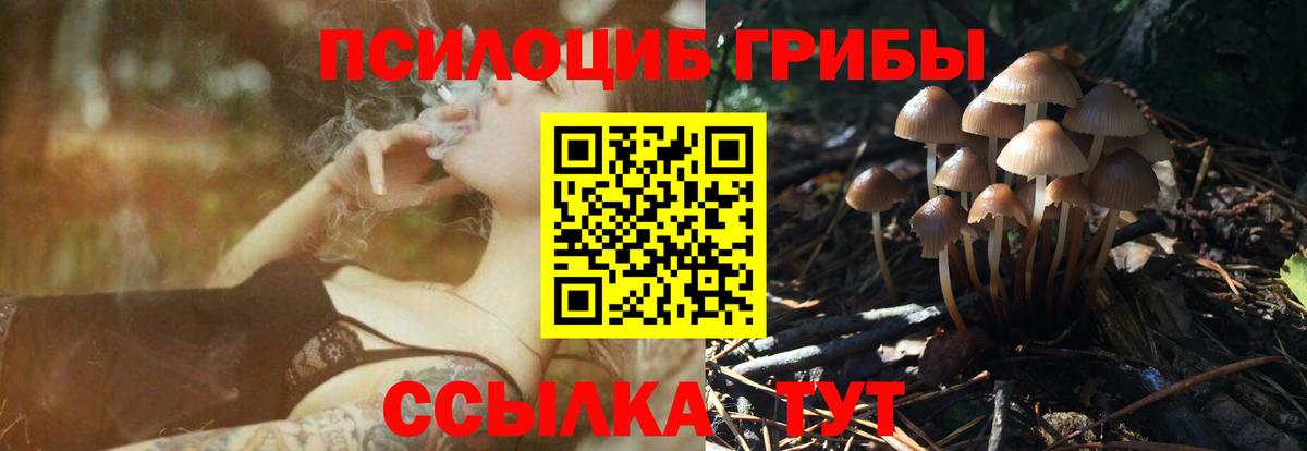 Галлюциногенные грибы мицелий Лыткарино